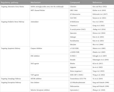 Mechanisms and otoprotective strategies of programmed cell death on aminoglycoside-induced ototoxicity